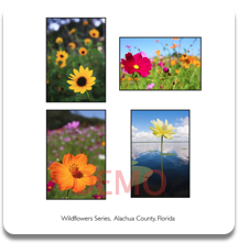 Wildflower Series Stationery